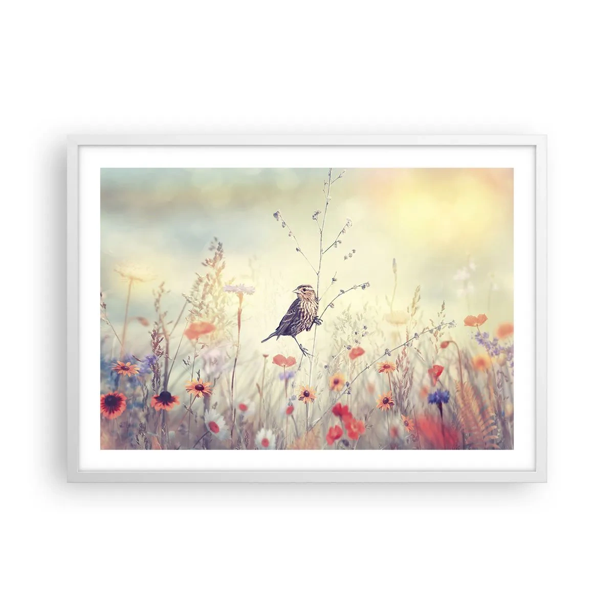 Affiche dans un cadre blanc - Poster - Portrait d'oiseau sur pré en fond - 70x50 cm