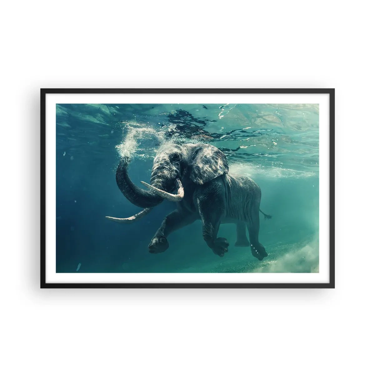 Affiche dans un cadre noir - Poster - Tout le monde aime nager - 91x61 cm