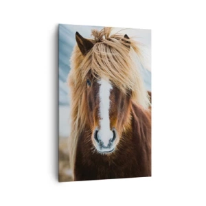 Impression sur toile - Image sur toile - Cheval islandais dans un paysage de montagne - 80x120cm - Sentez-vous la liberté ? - Décoration murale moderne pour le salon et la chambre ARTTOR