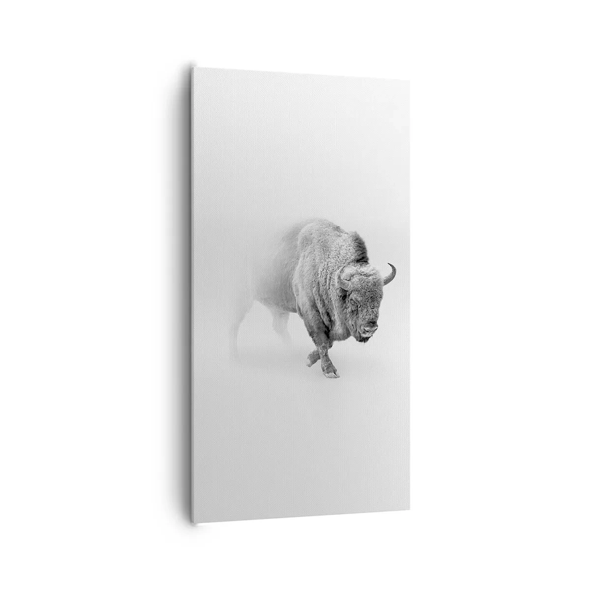 Impression sur toile - Image sur toile - Roi de la prairie - 65x120 cm