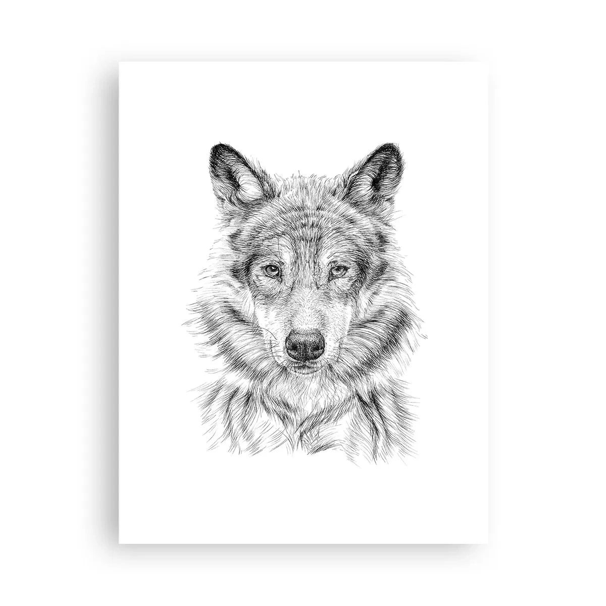 Affiche - Poster - Un leader né - 30x40 cm