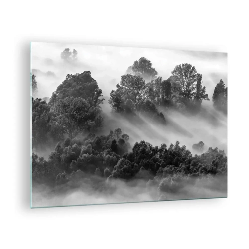 Impression sur verre - Image sur verre - Forêt brumeuse au soleil en noir et blanc - 70x50cm - Sortir de son sommeil - Décoration murale moderne pour le salon et la chambre ARTTOR