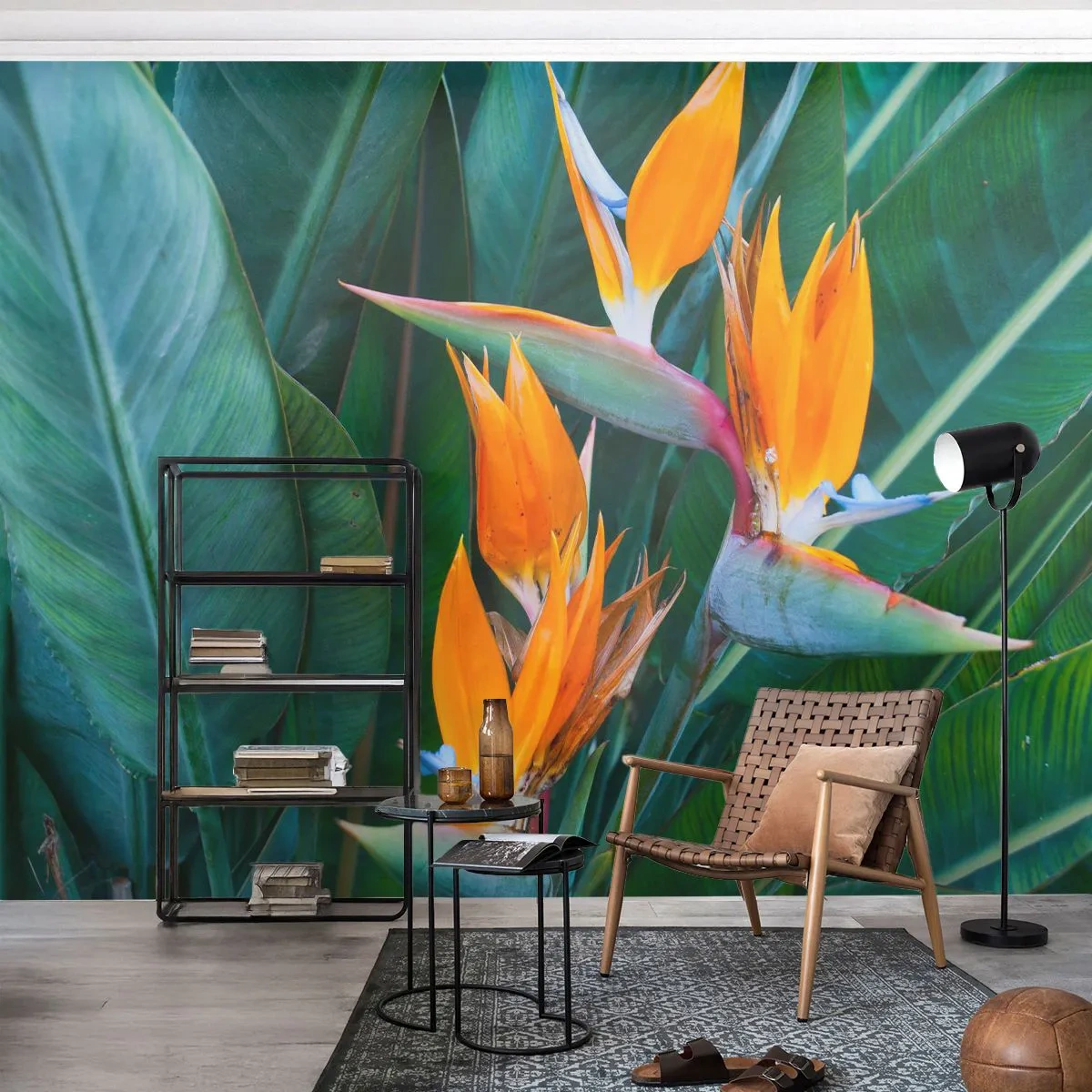Papier Peint Autocollant Deluxe Sticker - Est-ce une fleur, est-ce un oiseaux? - Strelitzia royale, Fleur, Afrique - 450x315 cm