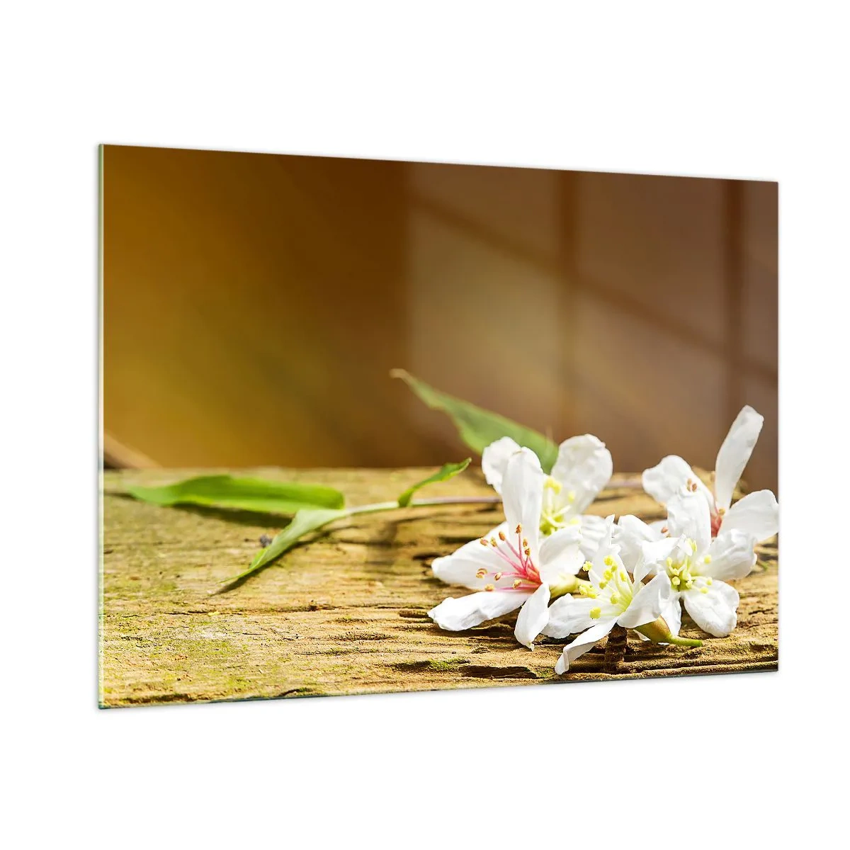Impression sur verre - Image sur verre - Fleurs blanches sur fond de bois dans une lumière chaude - 100x70cm - Une promesse innocente - Décoration murale moderne pour le salon et la chambre ARTTOR