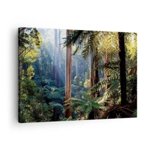 Impression sur toile - Image sur toile - Forêt tropicale illuminée par les rayons du soleil - 70x50cm - Fable de la forêt - Décoration murale moderne pour le salon et la chambre ARTTOR