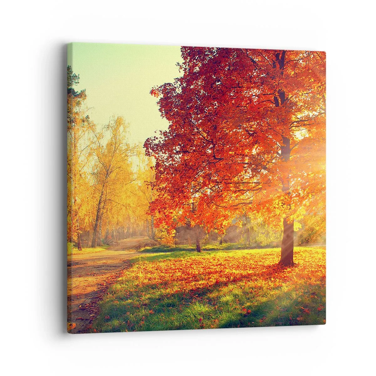 Impression sur toile - Image sur toile - Le roux est beau - 40x40 cm