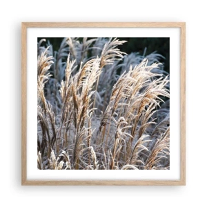 Affiche dans un chêne clair - Poster - Habillé de givre - 50x50 cm