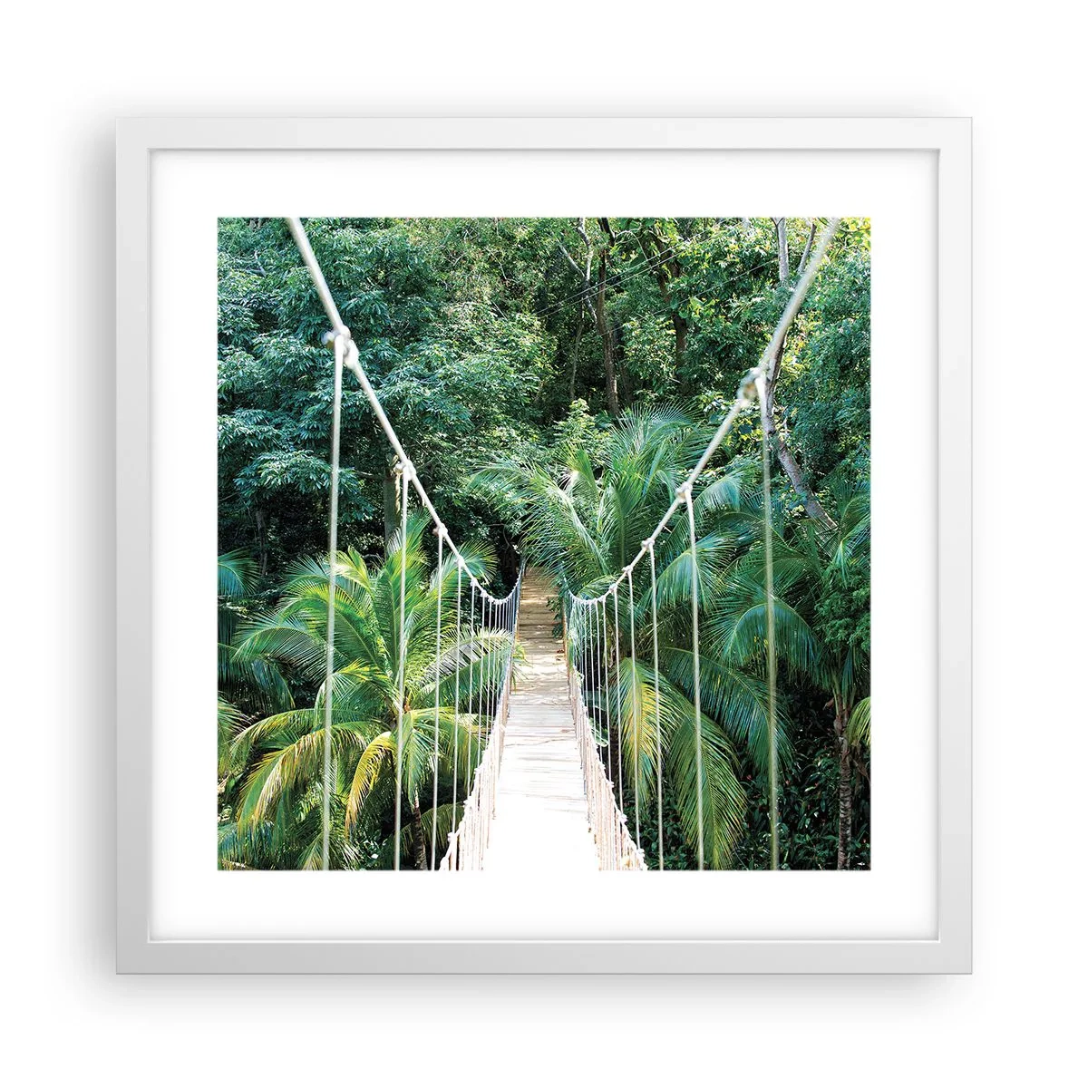 Affiche dans un cadre blanc - Poster - Welcome to the jungle! - 40x40 cm