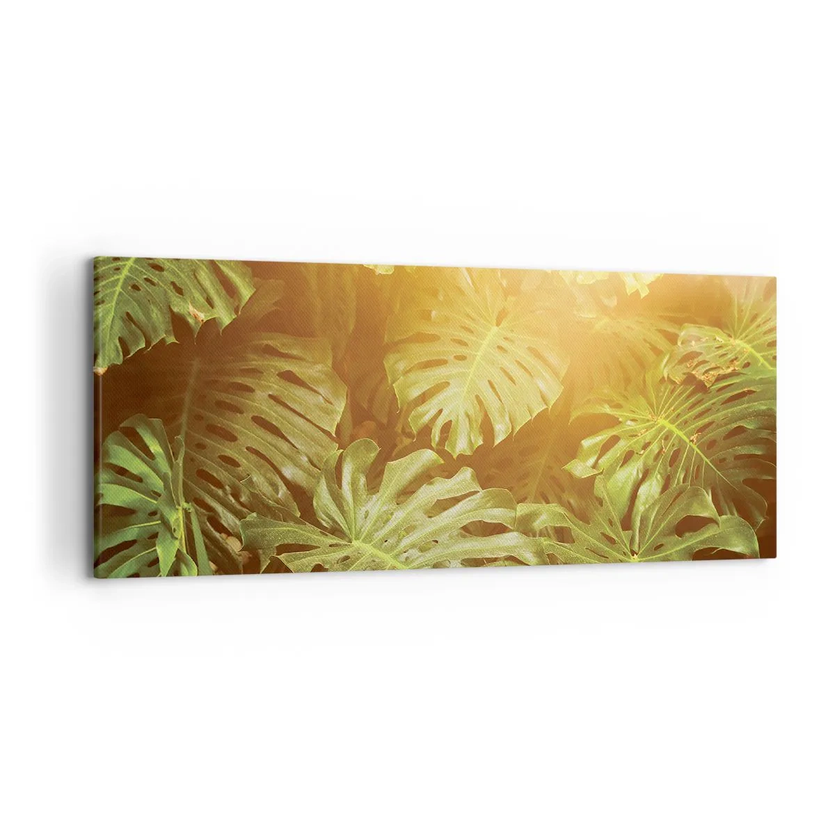 Impression sur toile - Image sur toile - Feuilles de Monstera au soleil sur fond naturel - 120x50cm - Se fondre dans la verdure - Décoration murale moderne pour le salon et la chambre ARTTOR