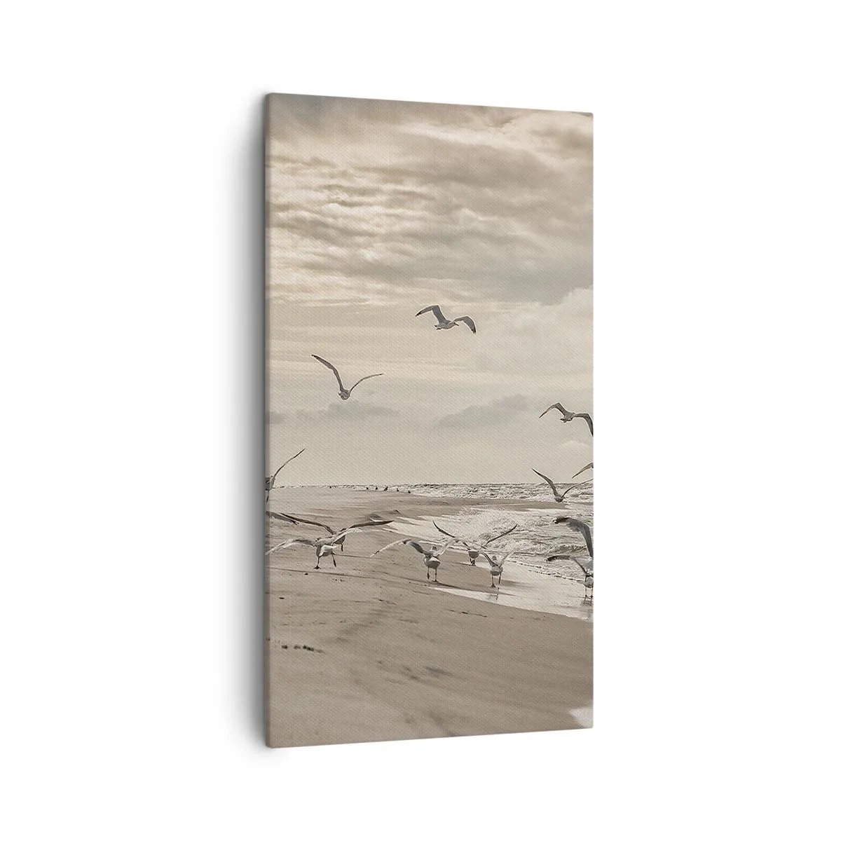 Impression sur toile - Image sur toile - Le bruit de la mer, le chant des oiseaux - 45x80 cm
