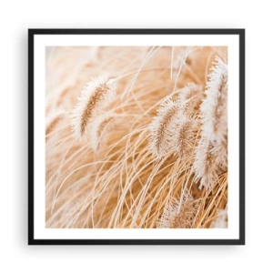 Affiche dans un cadre noir - Poster - Le bruissement doré de l'herbe - 60x60 cm