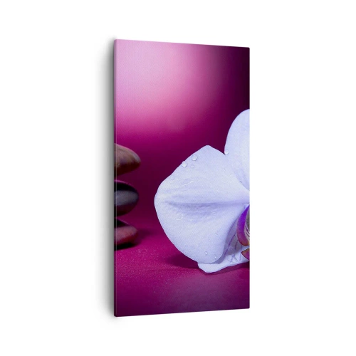 Impression sur toile - Image sur toile - Une étude de fraîcheur en violet - 55x100 cm