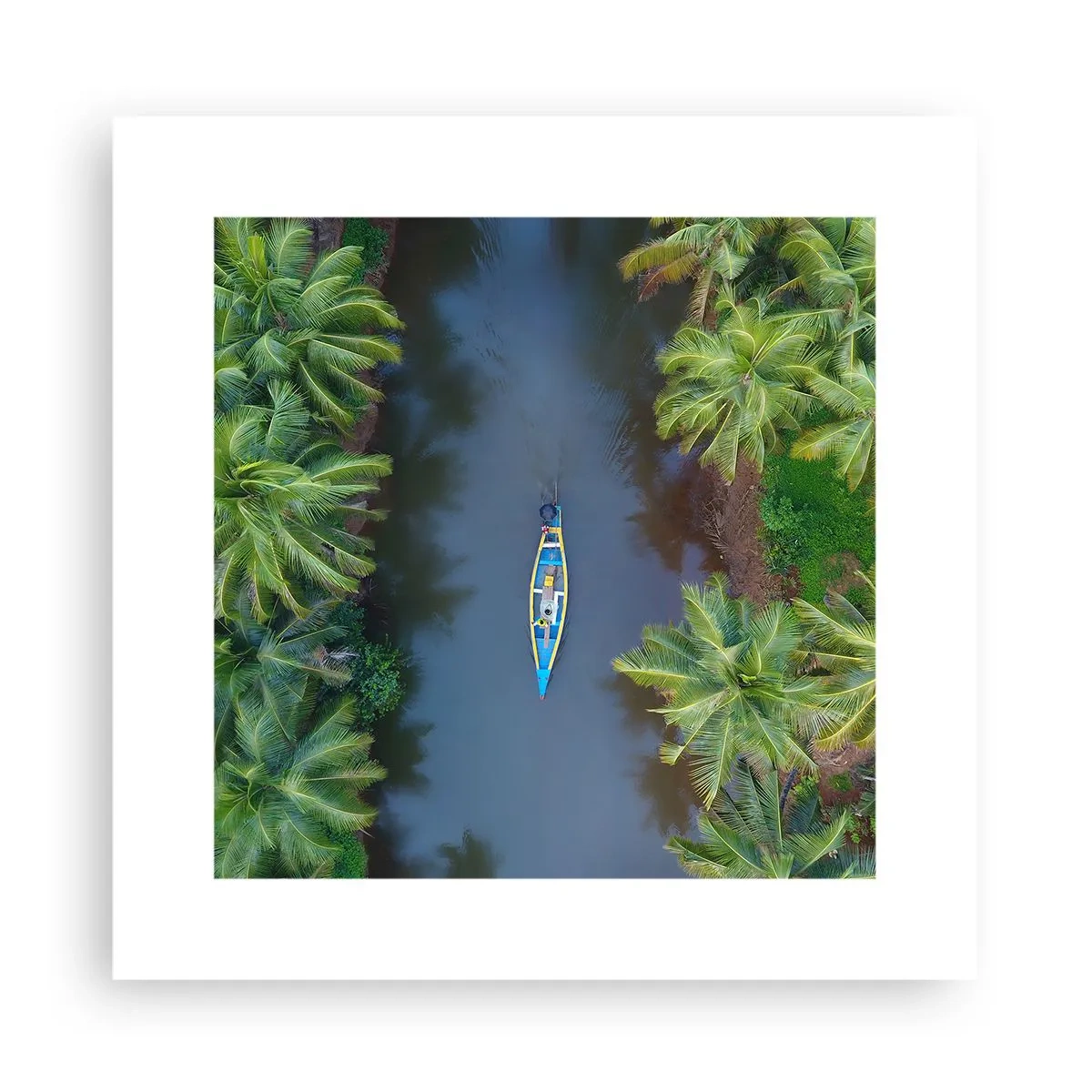 Affiche - Poster - Sur un sentier tropical - 30x30 cm