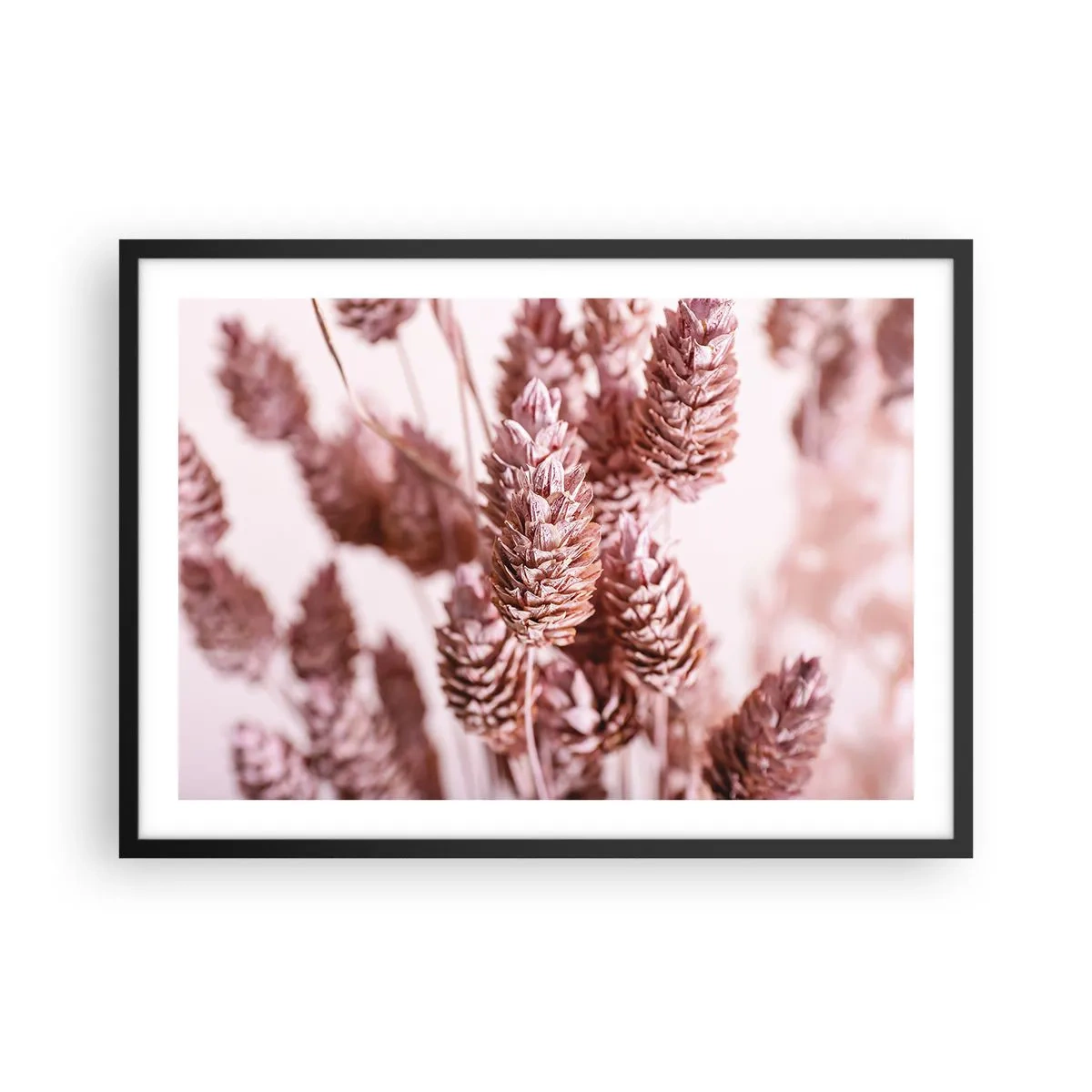 Affiche dans un cadre noir - Poster - Gros plan sur les délicats épis roses des graminées ornementales - 70x50cm - Apparemment discret - Décoration murale moderne pour le salon et la chambre ARTTOR