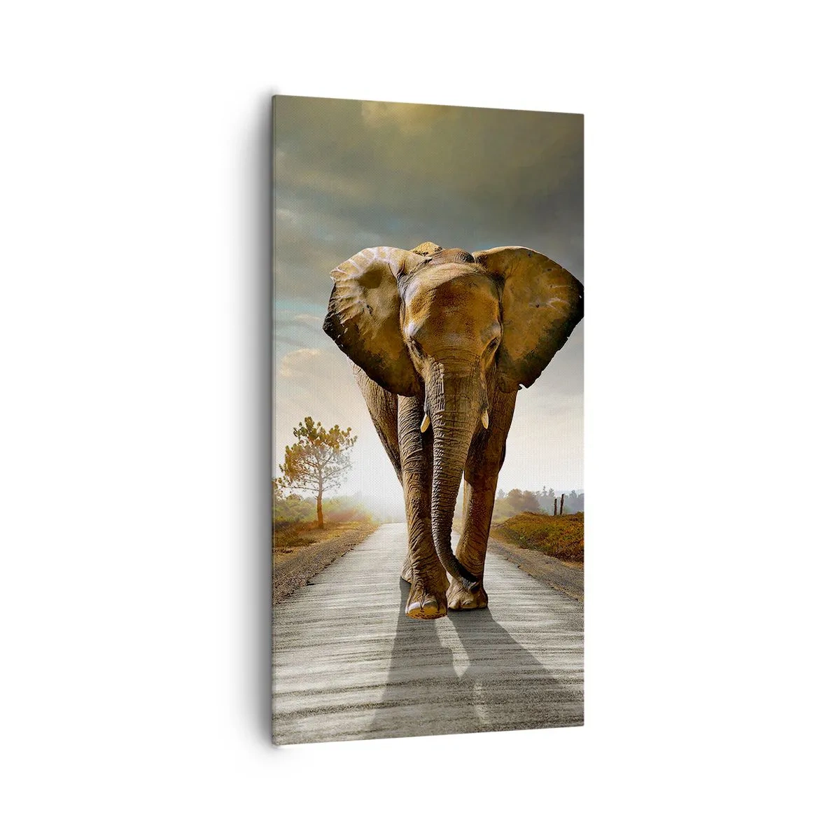 Impression sur toile - Image sur toile - Et pas du tout en porcelaine - 65x120 cm