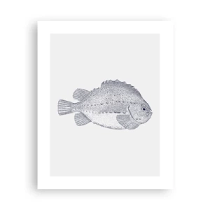 Affiche - Poster - Pour l'album du naturaliste - 40x50 cm