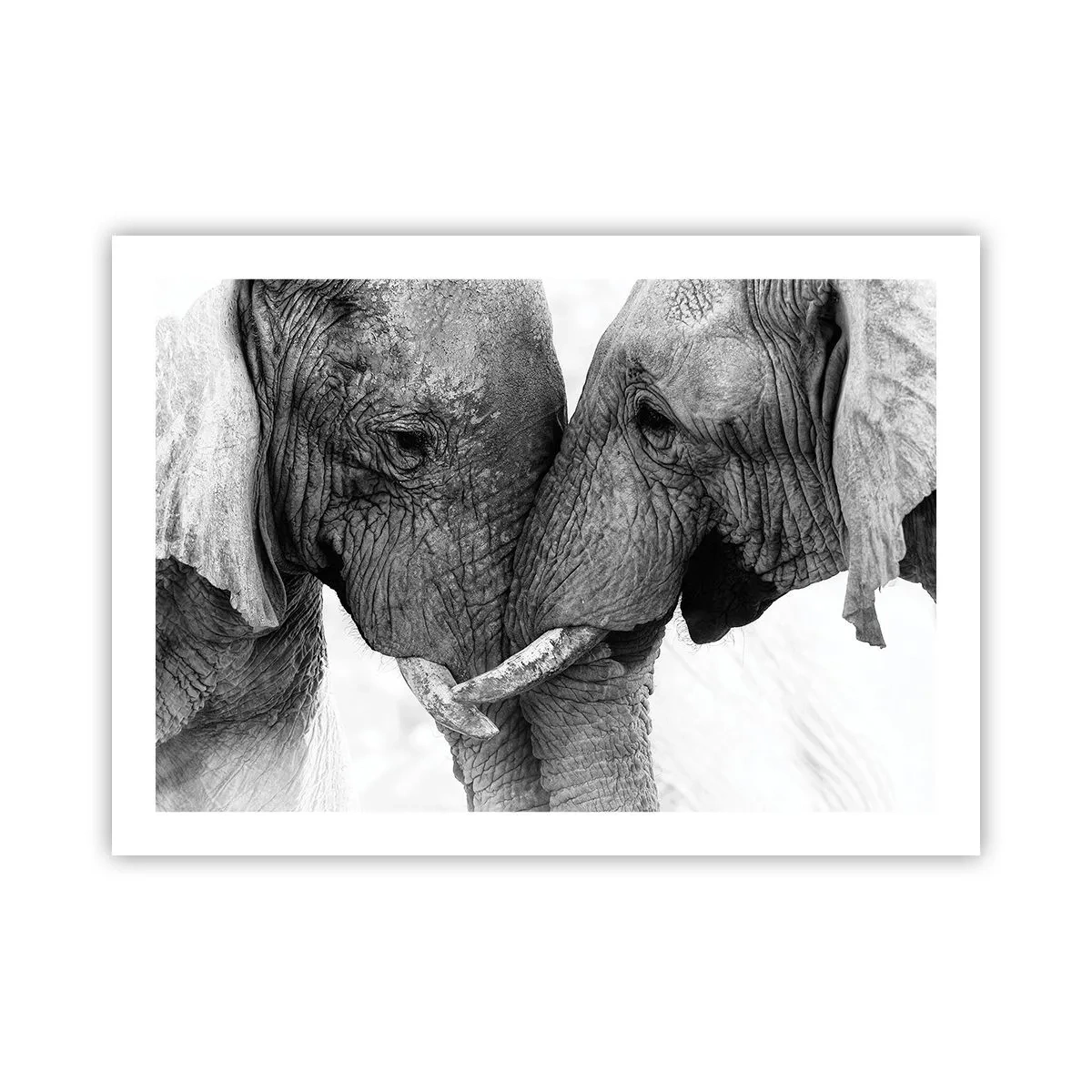 Affiche - Poster - Confession sincère - 70x50 cm