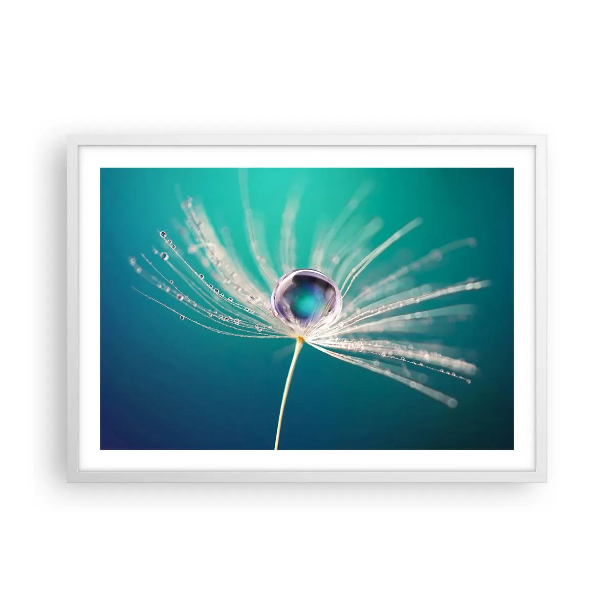 Affiche dans un cadre blanc - Poster - Moment mystique - 70x50 cm