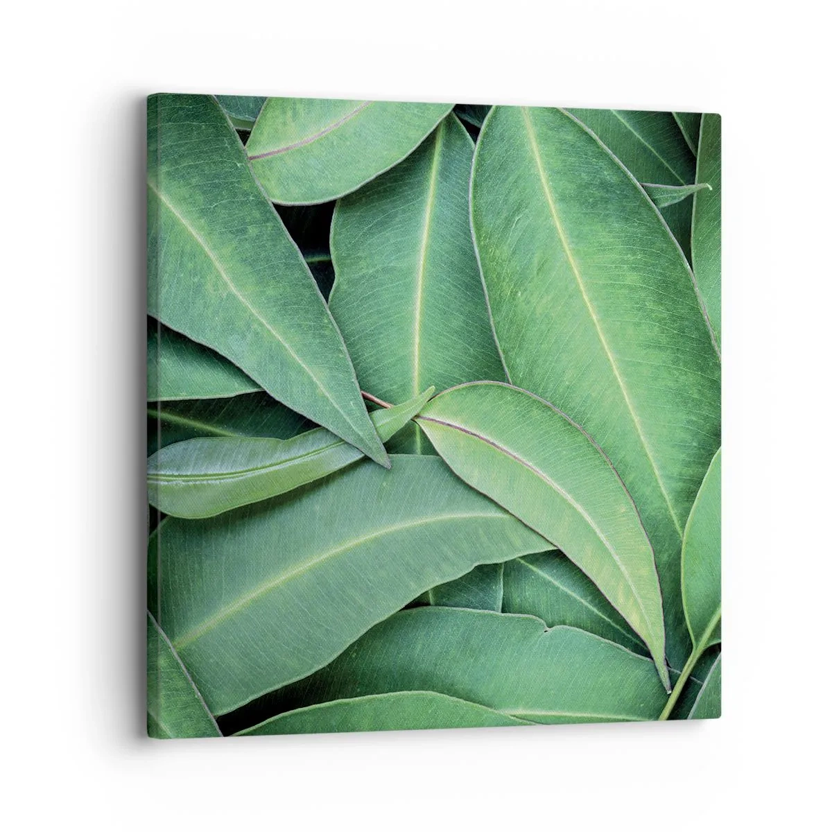 Impression sur toile - Image sur toile - Juteux et frais - 30x30 cm