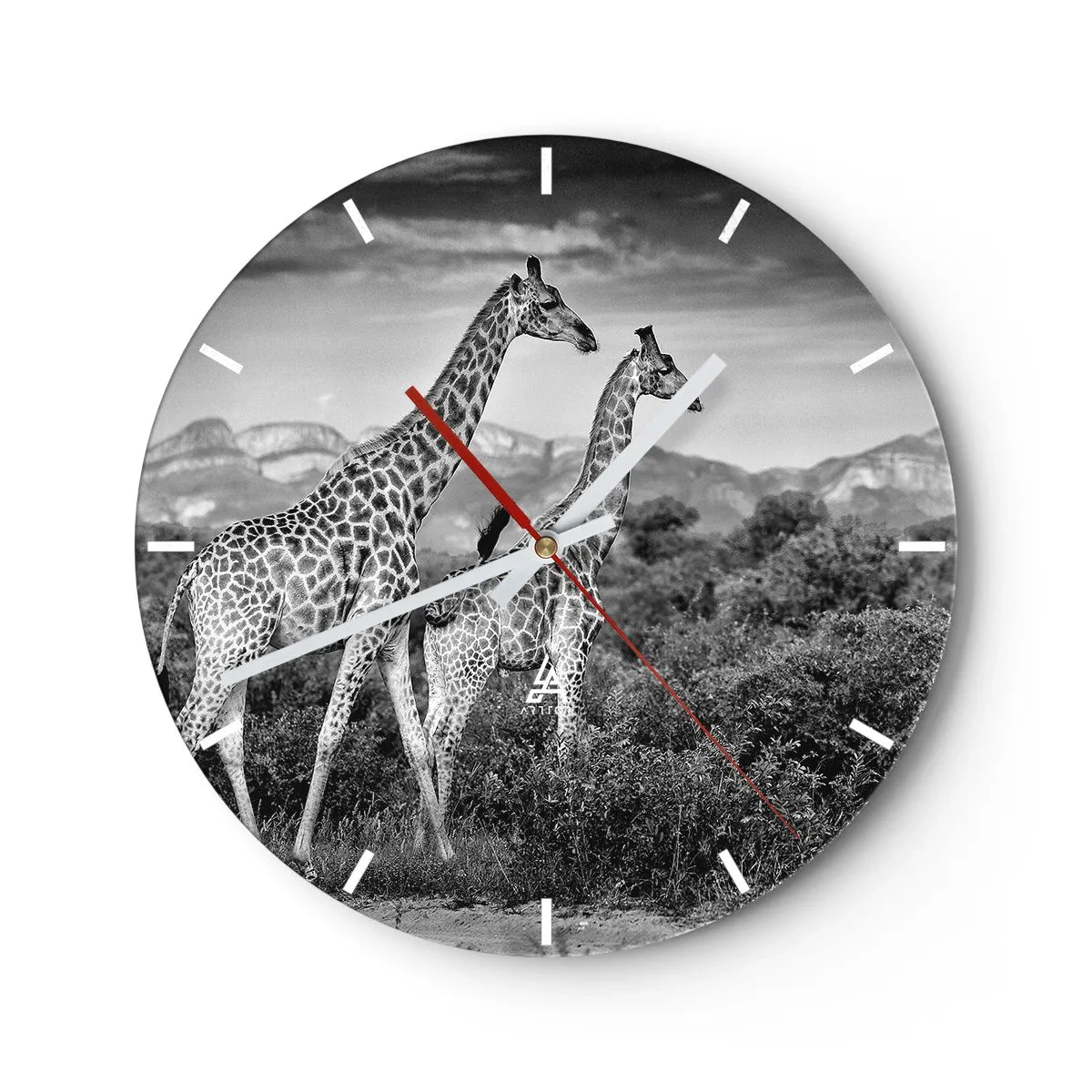 Horloge murale - Pendule murale - Une photographie en noir et blanc de deux girafes dans la savane. - 30x30cm - Hautes sphères en Afrique - Décoration murale moderne pour le salon, la cuisine et la chambre ARTTOR