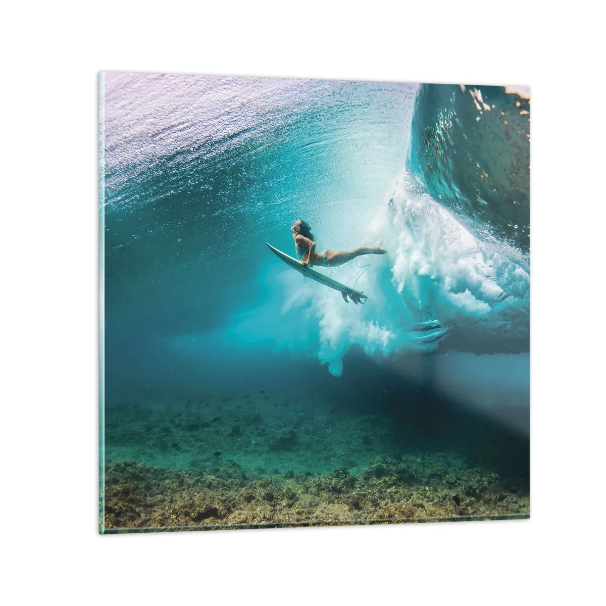 Impression sur verre - Image sur verre - Monde sous marin - 40x40 cm
