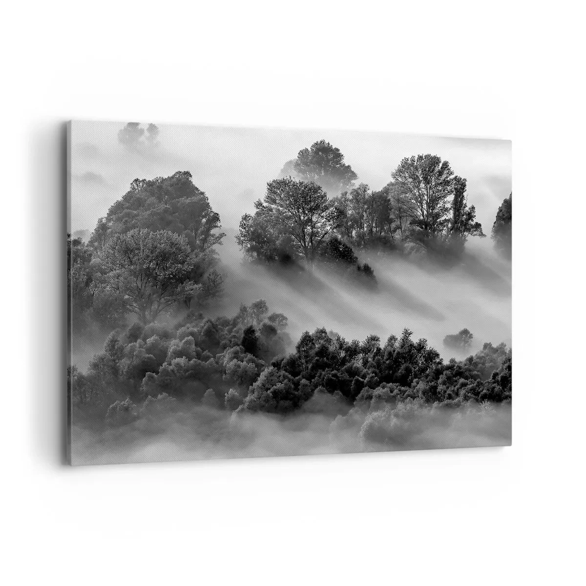 Impression sur toile - Image sur toile - Paysage forestier noir et blanc dans le brouillard du matin - 100x70cm - Sortir de son sommeil - Décoration murale moderne pour le salon et la chambre ARTTOR
