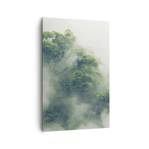 Impression sur toile - Image sur toile - Arbres verts dans un épais brouillard sur fond naturel - 80x120cm - Enveloppé de brouillard - Décoration murale moderne pour le salon et la chambre ARTTOR