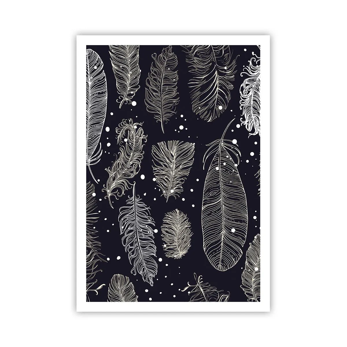 Affiche - Poster - Toile de plumes - 70x100 cm