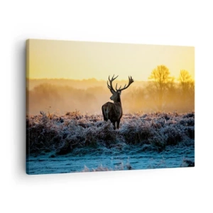 Impression sur toile - Image sur toile - Un cerf dans une clairière gelée au lever du soleil - 70x50cm - Couronné pour sa succession - Décoration murale moderne pour le salon et la chambre ARTTOR