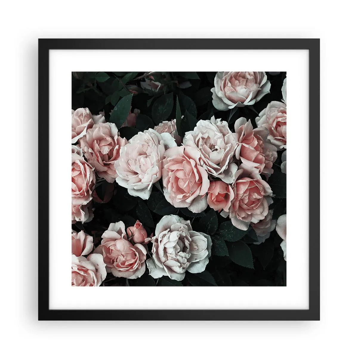 Affiche dans un cadre noir - Poster - Ensemble de rose - 40x40 cm
