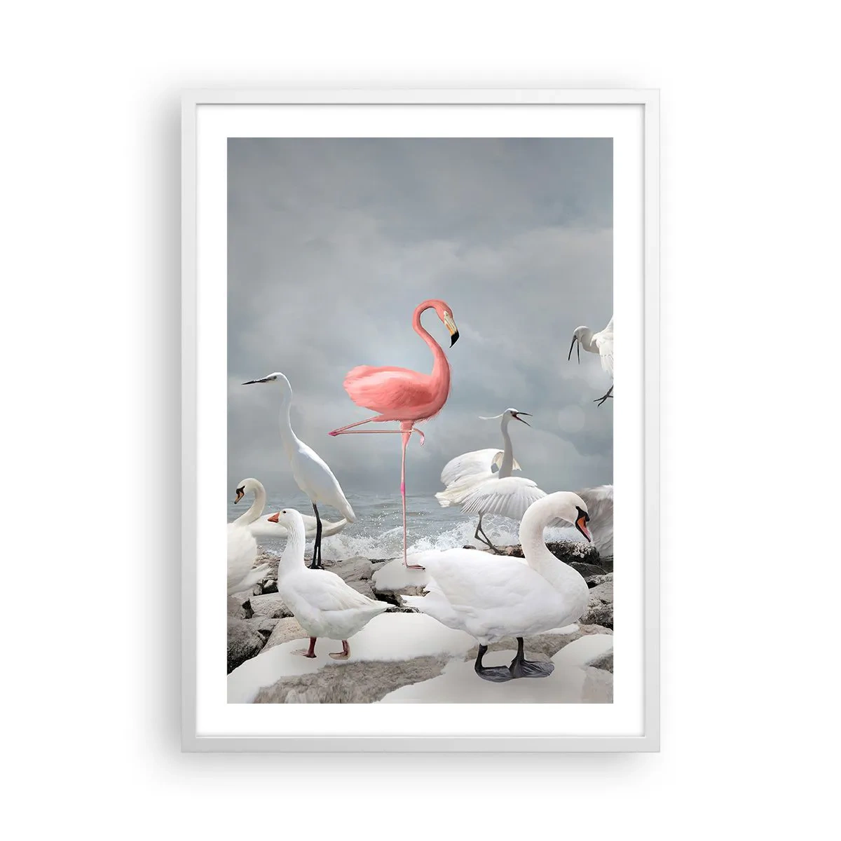 Affiche dans un cadre blanc - Poster - Comment suis-je arrivé là? - 50x70 cm