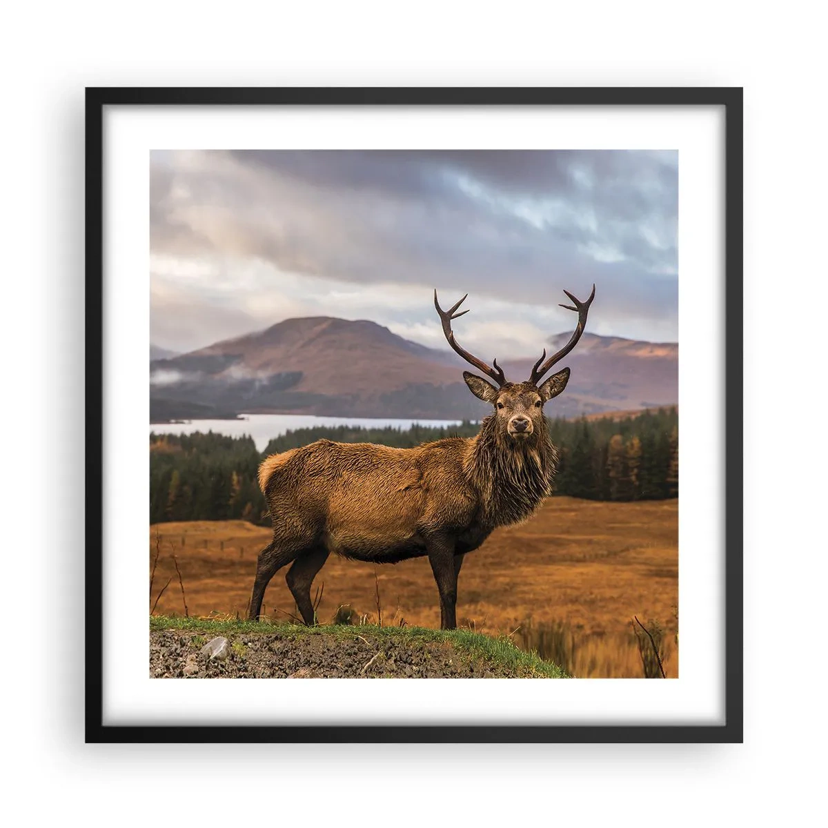 Affiche dans un cadre noir - Poster - Majesté de la nature - 50x50 cm