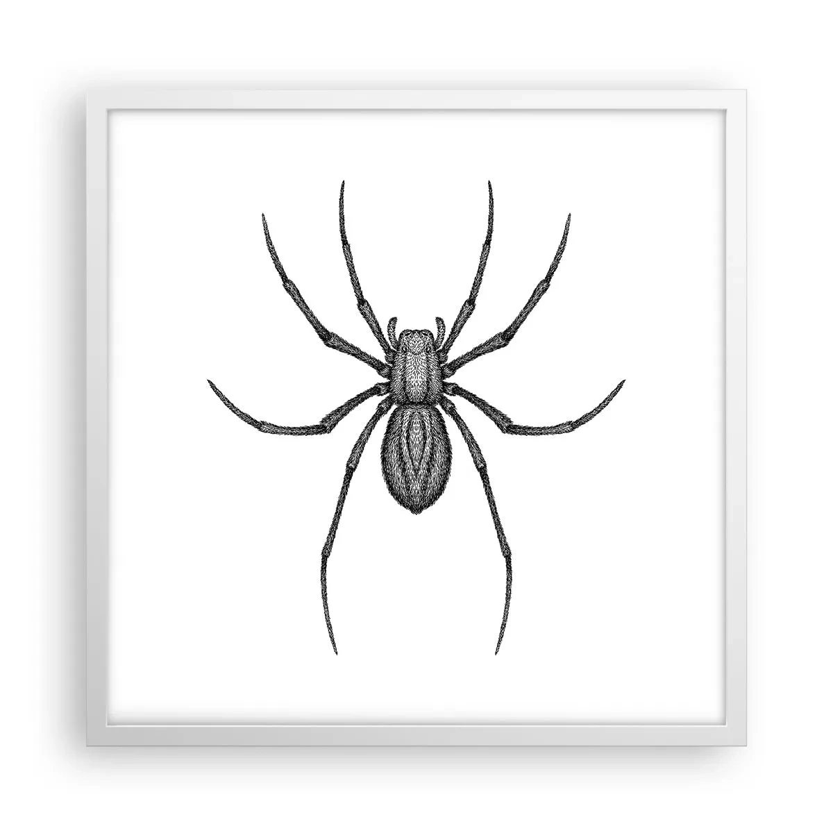 Affiche dans un cadre blanc - Poster - Une précision troublante - 50x50 cm