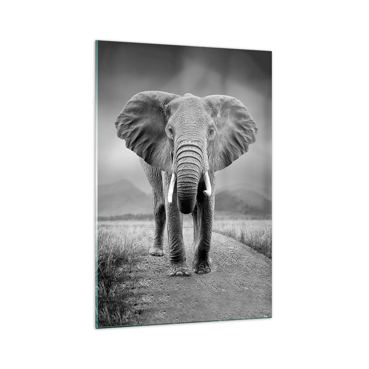 Impression sur verre - Image sur verre - Un puissant éléphant dans la savane aux tons monochromes - 70x100cm - Les hôtes vous saluent - Décoration murale moderne pour le salon et la chambre ARTTOR