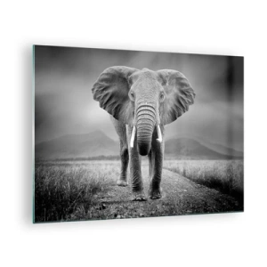 Impression sur verre - Image sur verre - Éléphant dans la savane en noir et blanc - 70x50cm - Les hôtes vous saluent - Décoration murale moderne pour le salon et la chambre ARTTOR