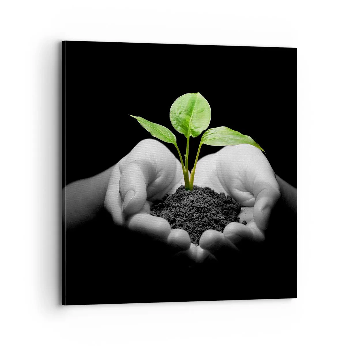 Impression sur toile - Image sur toile - J'aime la nature, je la protège - 70x70 cm