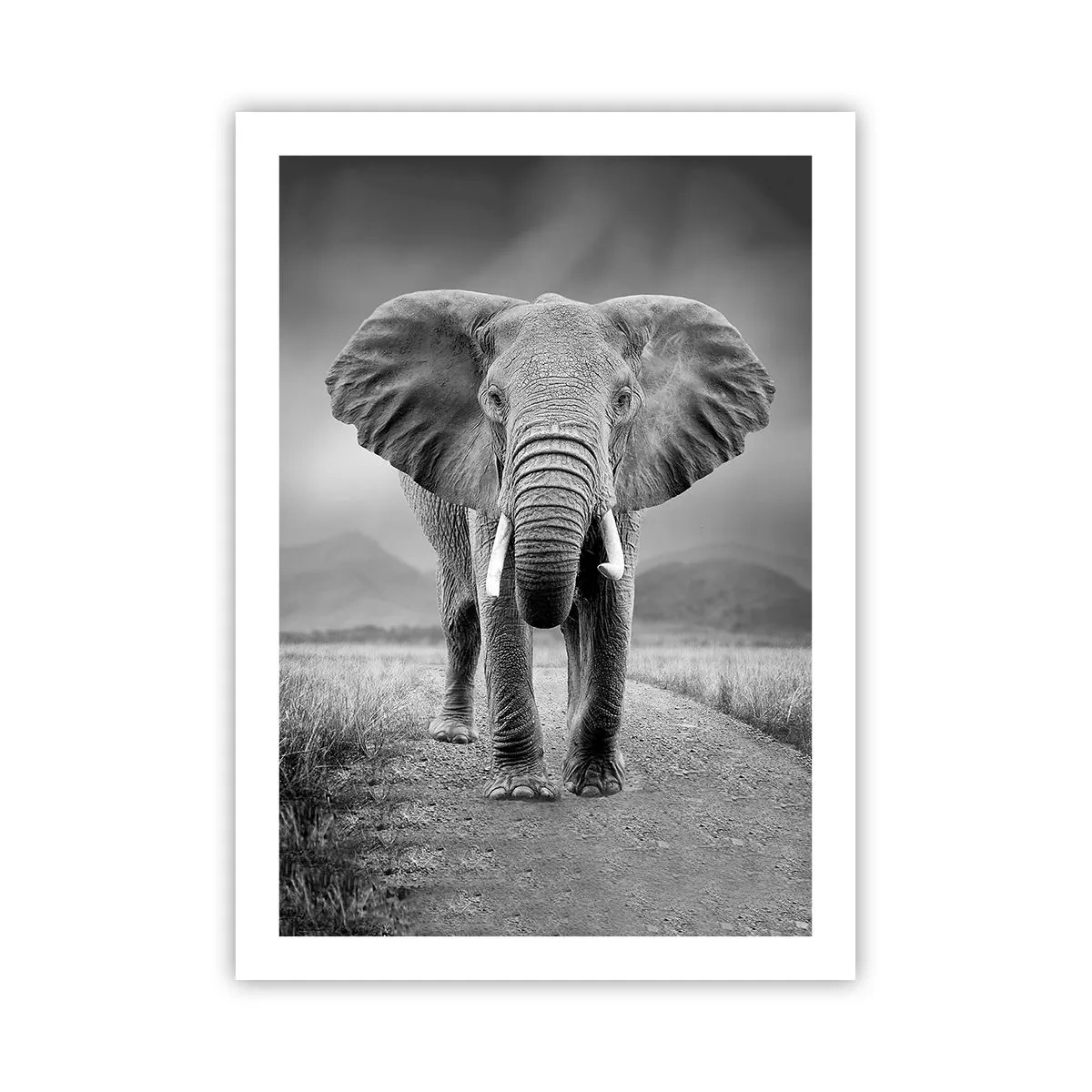 Affiche - Poster - Un éléphant sur un paysage africain en noir et blanc - 50x70cm - Les hôtes vous saluent - Décoration murale moderne pour le salon et la chambre ARTTOR