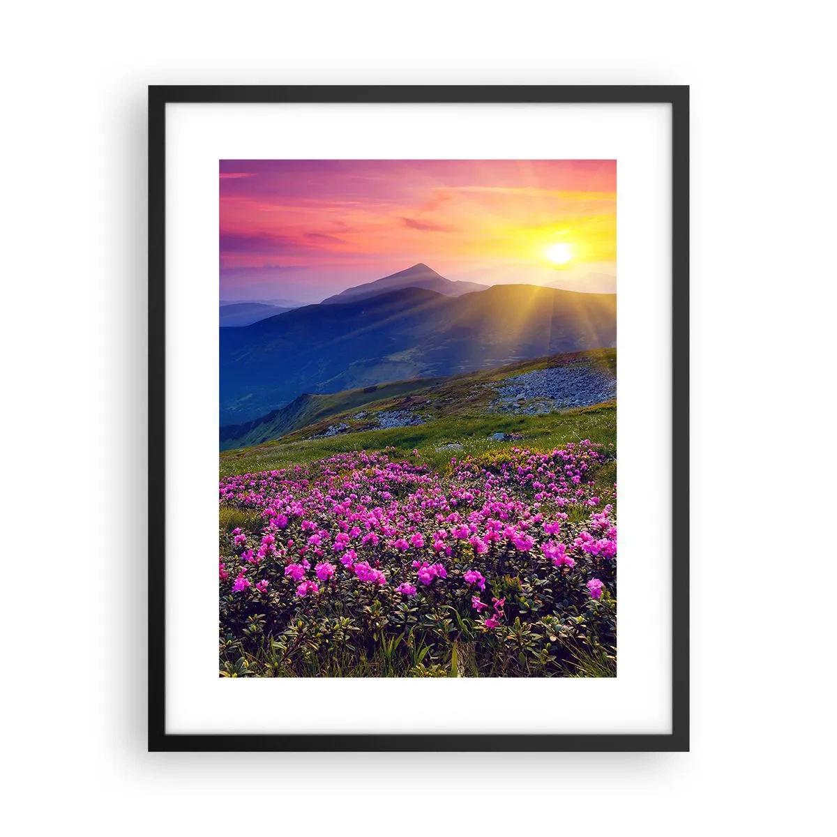 Affiche dans un cadre noir - Poster - … Et autour, ça sent le pin des montagnes et l'odeur de la prairie - 40x50 cm