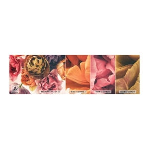Échantillon de Papier Peint Autocollant Deluxe Sticker - La fête de la vie - Bouquet de fleurs, Fleurs, Pivoine - 100x30 cm
