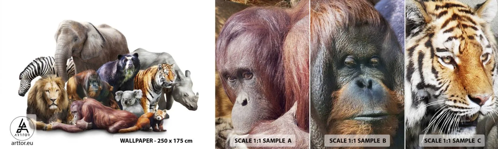 Échantillon de Papier Peint Autocollant Deluxe Sticker - Photographie de famille africaine - Abstraction, Animaux, Les Big Five d'Afrique - 100x30 cm