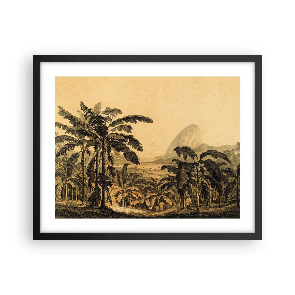 Affiche dans un cadre noir - Poster - Dans un climat colonial - 50x40 cm