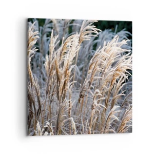 Impression sur toile - Image sur toile - Habillé de givre - 70x70 cm
