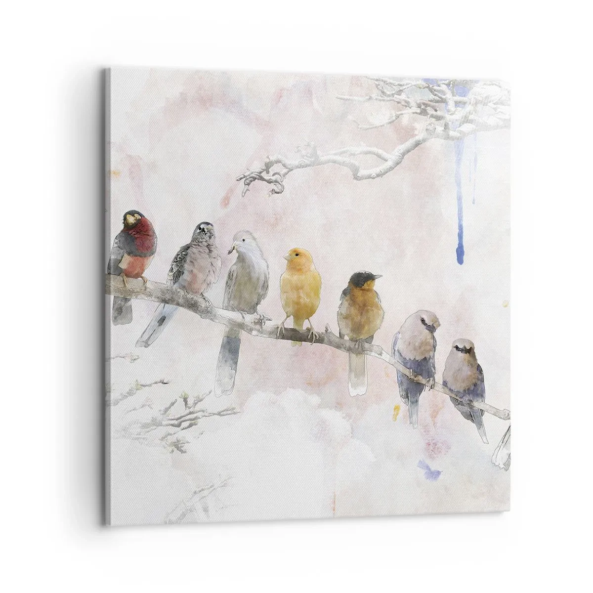 Impression sur toile - Image sur toile - Rencontre ailée - 60x60 cm