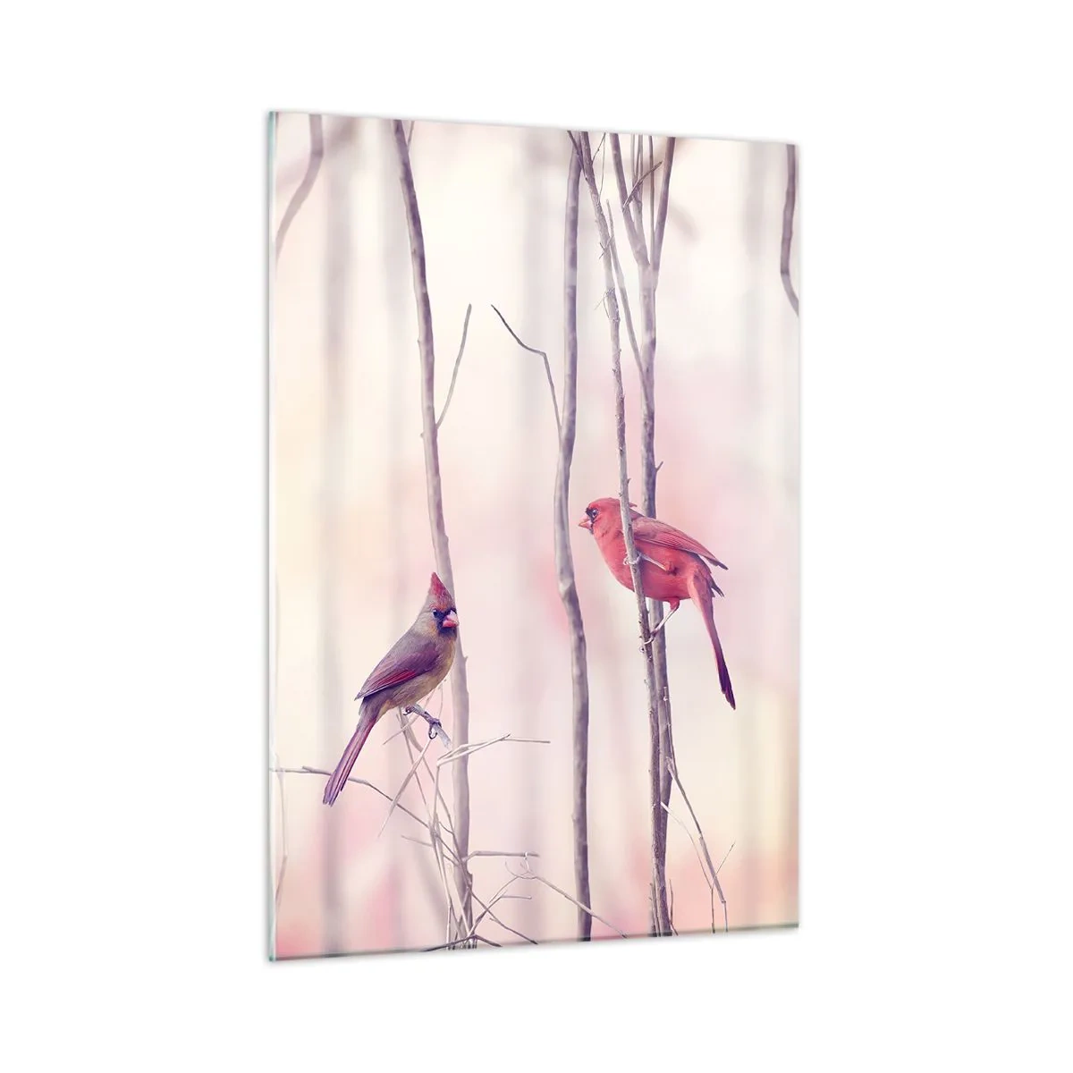 Impression sur verre - Image sur verre - Deux oiseaux parmi des brindilles délicates aux tons pastel - 50x70cm - Conte de la forêt rose - Décoration murale moderne pour le salon et la chambre ARTTOR