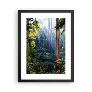 Affiche dans un cadre noir - Poster - Fable de la forêt - 30x40 cm