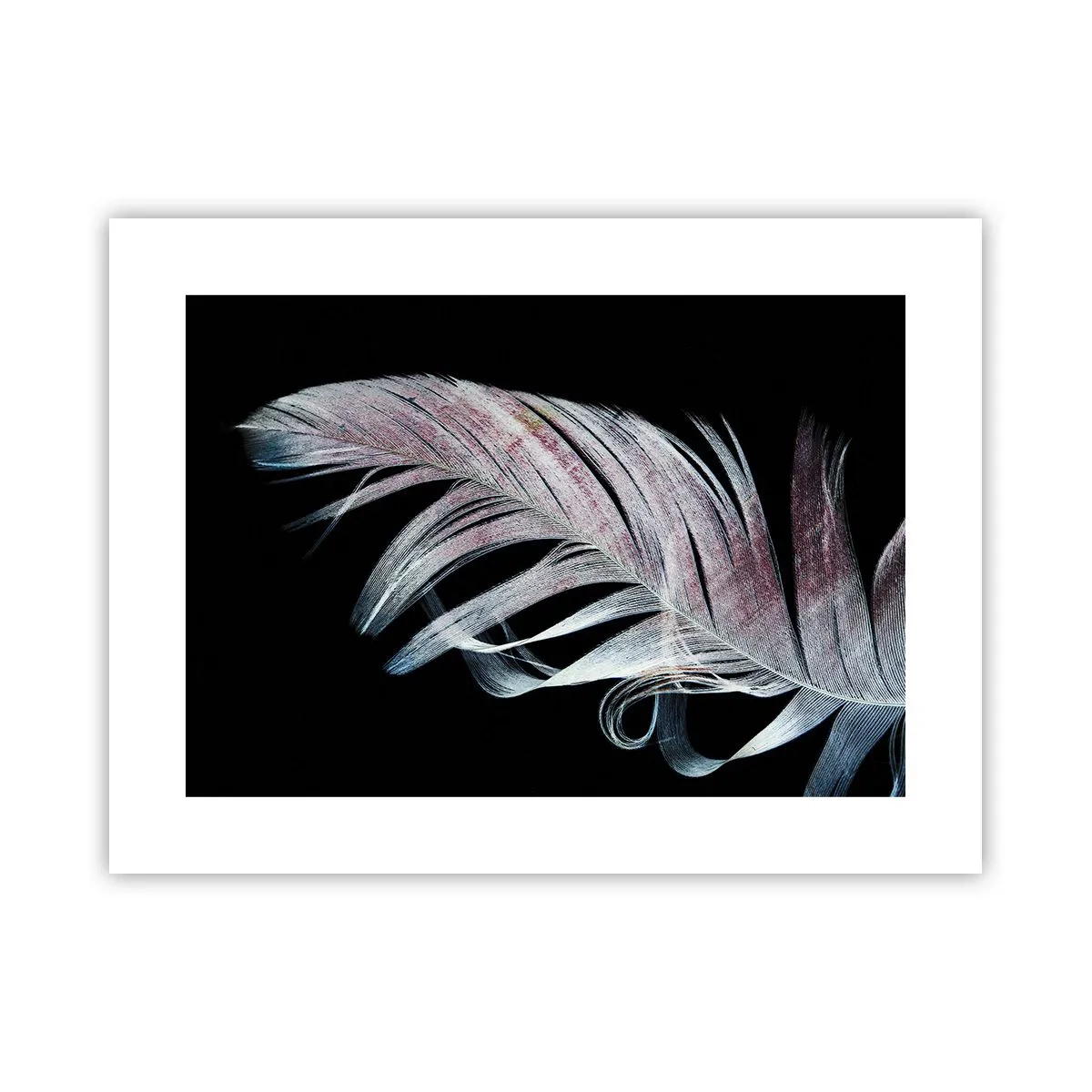 Affiche - Poster - Pensez au toucher - 40x30 cm