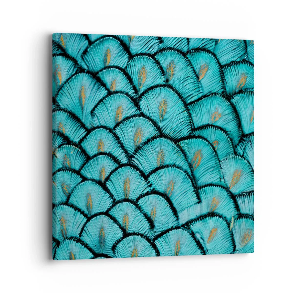 Impression sur toile - Image sur toile - Le grand gala des plumes - 40x40 cm