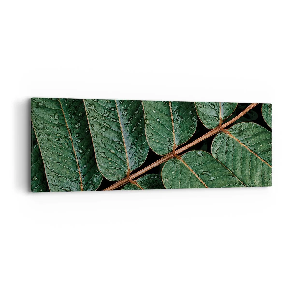 Impression sur toile - Image sur toile - Au rythme de la verdure - 90x30 cm