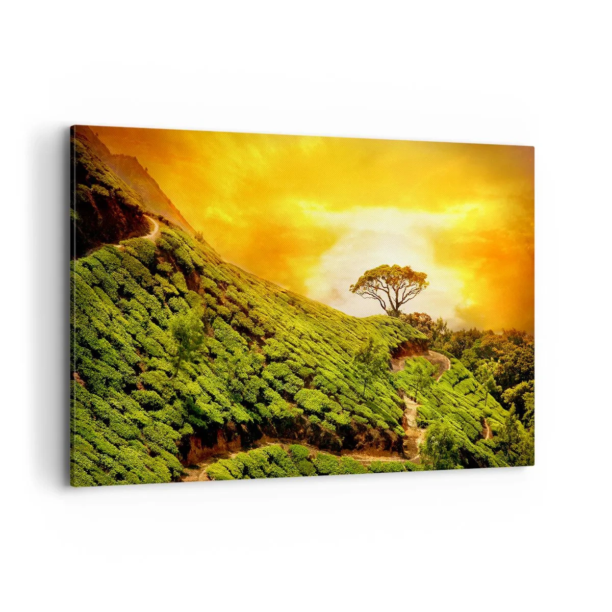 Impression sur toile - Image sur toile - Collines verdoyantes de plantations de thé au coucher du soleil - 120x80cm - Un chemin sinueux, une pente verte - Décoration murale moderne pour le salon et la chambre ARTTOR