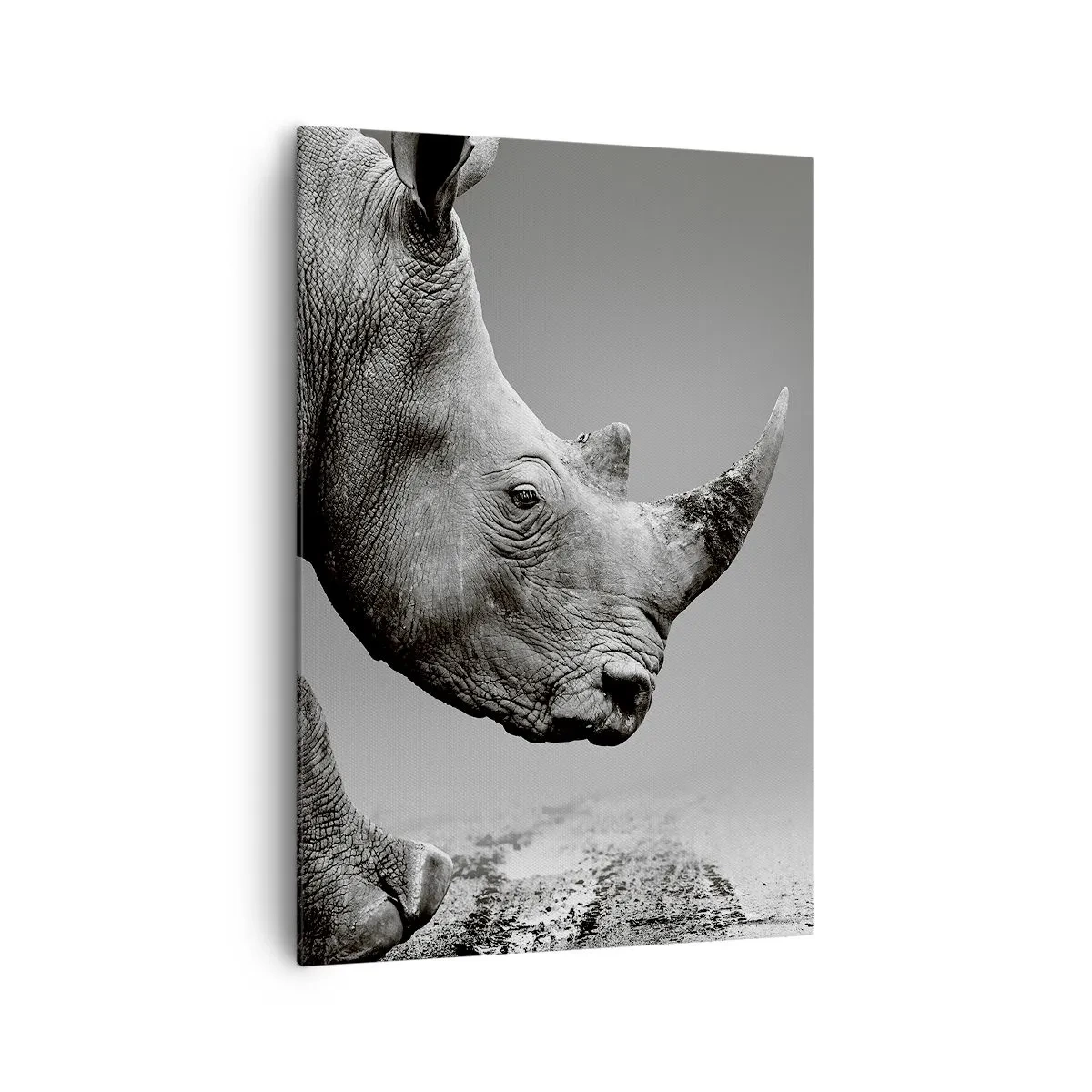Impression sur toile - Image sur toile - Portrait d'un rhinocéros sur fond de désert gris - 70x100cm - Force inarrêtable - Décoration murale moderne pour le salon et la chambre ARTTOR